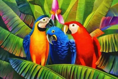 So Colorful