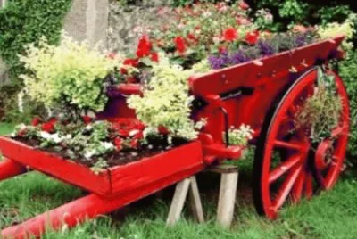 Foto jigsaw puzzle