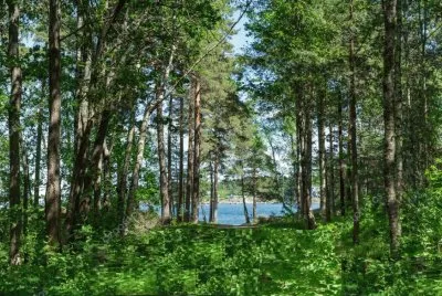 Foto jigsaw puzzle
