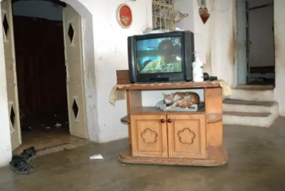 T.V