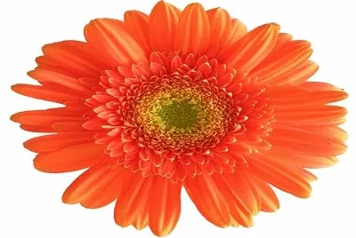 659