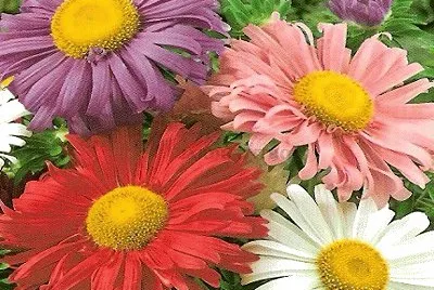 670