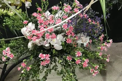Flores