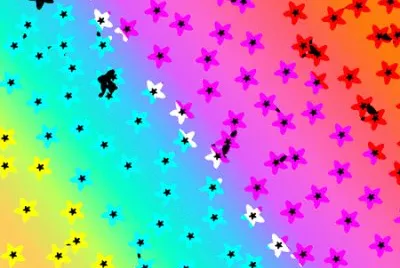 draw