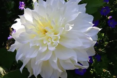OK