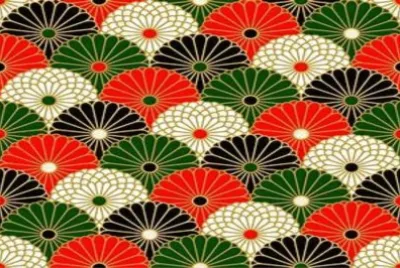 èŠ±æ¼¾