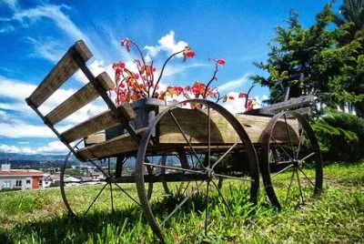 Foto jigsaw puzzle