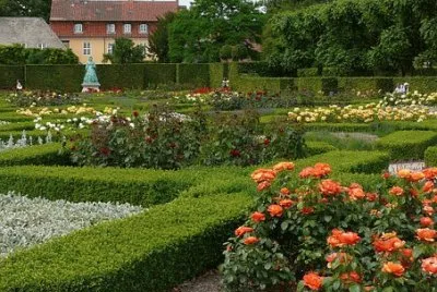 Foto jigsaw puzzle