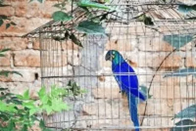 Foto jigsaw puzzle