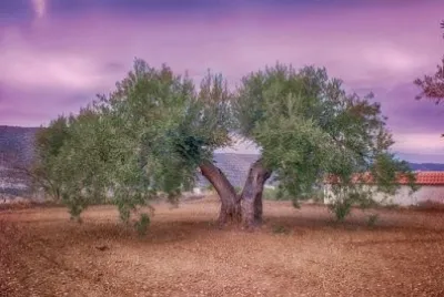 Foto jigsaw puzzle