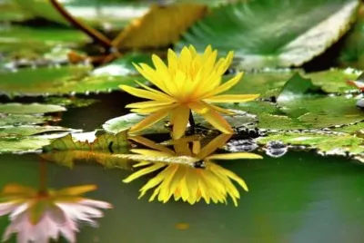 Foto jigsaw puzzle