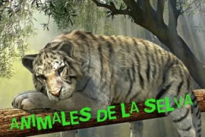animales de la selva