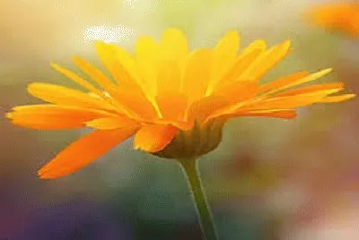 791