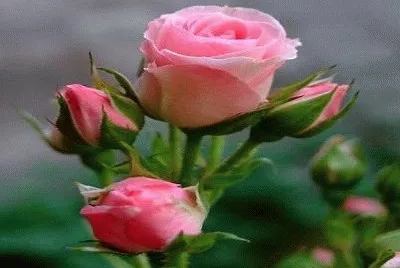 797