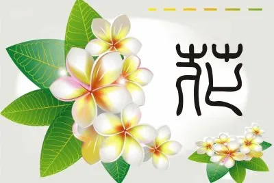 èŠ±
