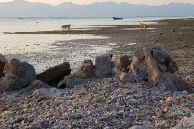Seaside
