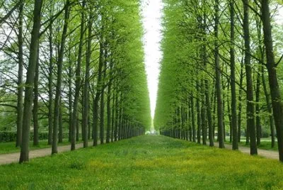 Foto jigsaw puzzle