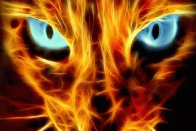 Fire