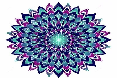 893