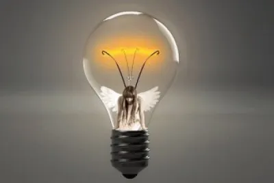 Toy