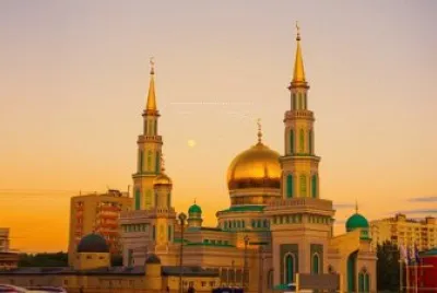 Toy