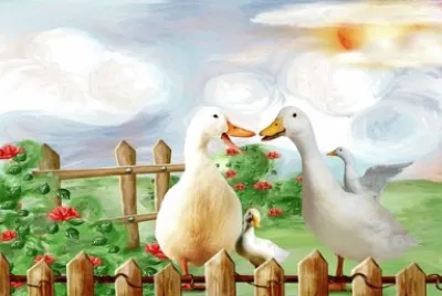 Foto jigsaw puzzle