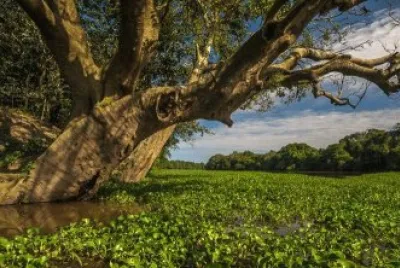 imagem jigsaw puzzle