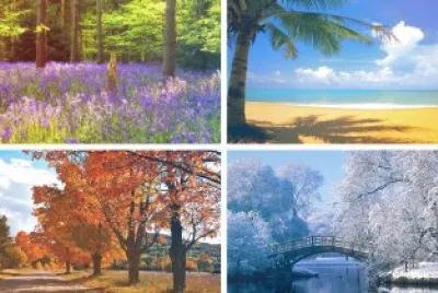 4 seasons