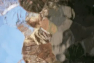 texturas