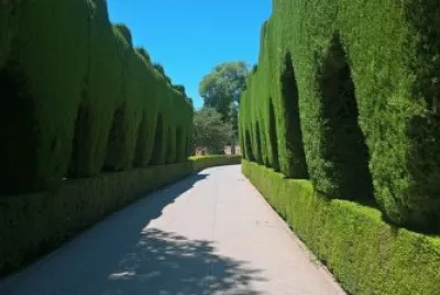 Foto jigsaw puzzle