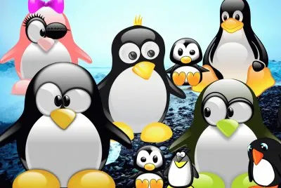 Pingouins jigsaw puzzle