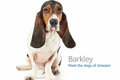 barkley jigsaw puzzle