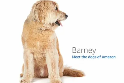 barney jigsaw puzzle