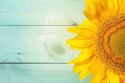 paisaje jigsaw puzzle