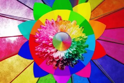 Couleurs jigsaw puzzle