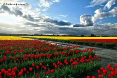 imagem jigsaw puzzle