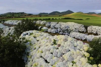 imagem jigsaw puzzle