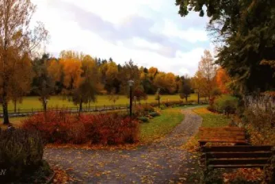 Fotografias tomada en otoÃ±o en la comuna de Haninge Suecia