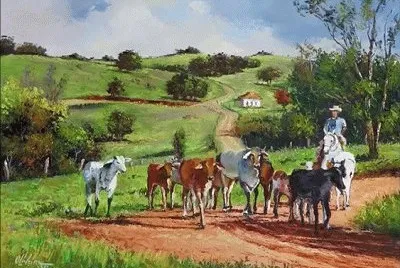 JR 213 jigsaw puzzle