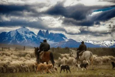 imagem jigsaw puzzle
