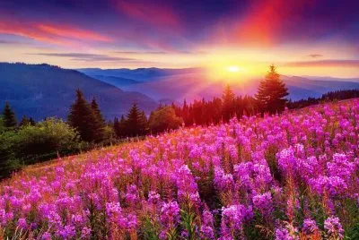 imagem jigsaw puzzle