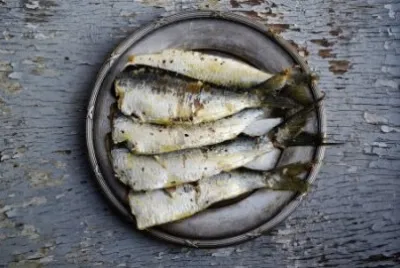 Sardines