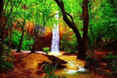 Nature