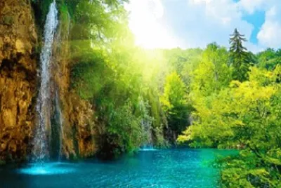 Nature jigsaw puzzle
