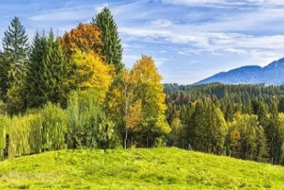 Nature