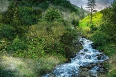 Nature