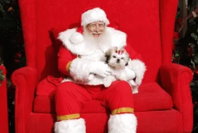 Natal