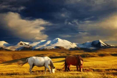 imagem jigsaw puzzle