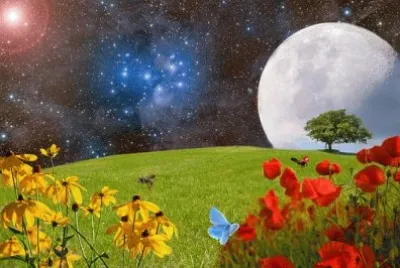 2 jigsaw puzzle