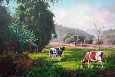 JR 252 jigsaw puzzle